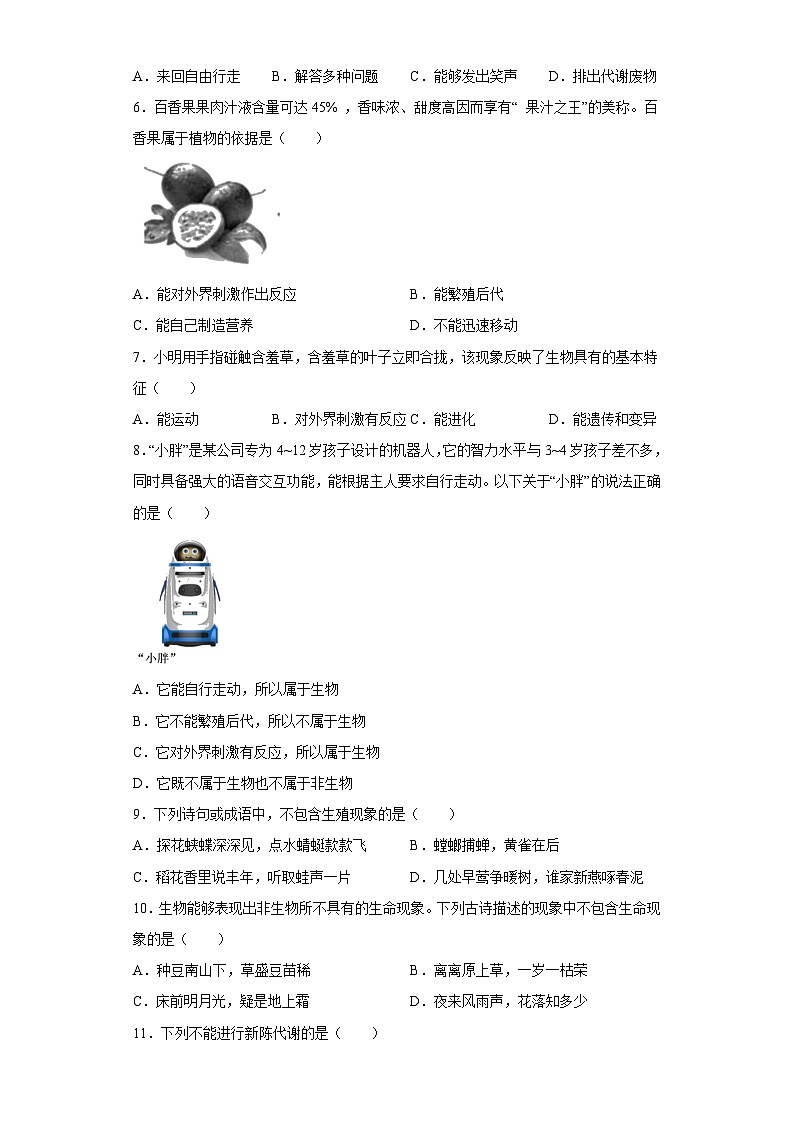 2.1生物与非生物 同步练习—浙教版科学七年级上册02