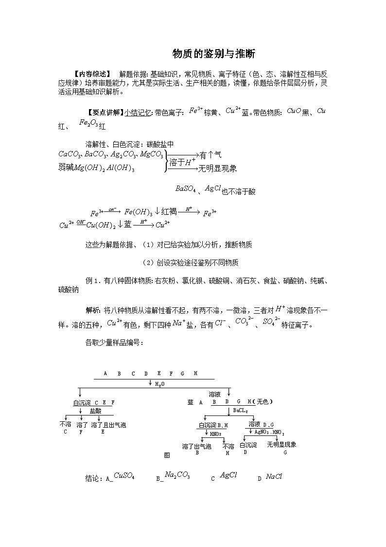 专题练习 物质的鉴别与推断 浙教版科学九年级上册01