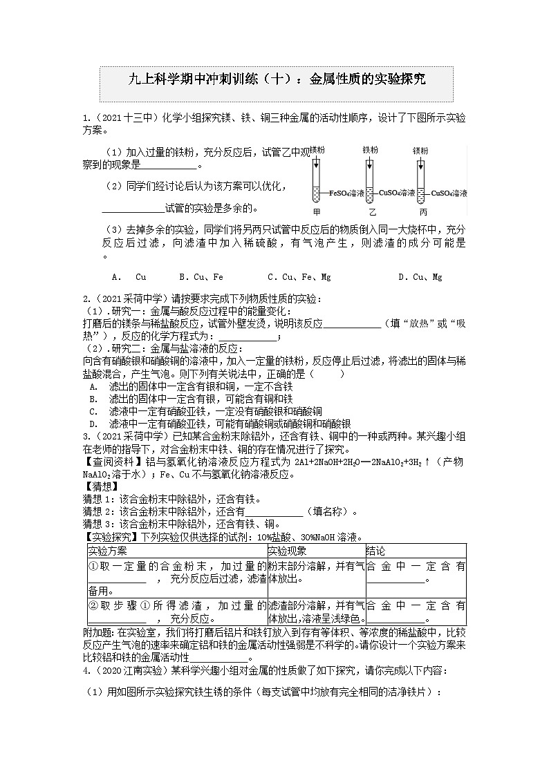 金属性质的实验探究 浙教版上学期九年级科学“期中冲刺”核心考点训练（十）01