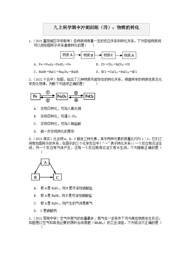 物质的转化 浙教版上学期九年级科学“期中冲刺”核心考点训练（四）01