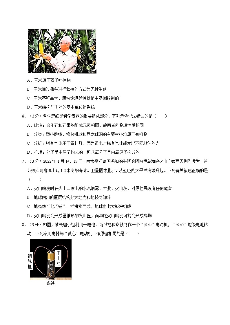 2024年浙江省宁波市余姚市中考科学适应性试卷02