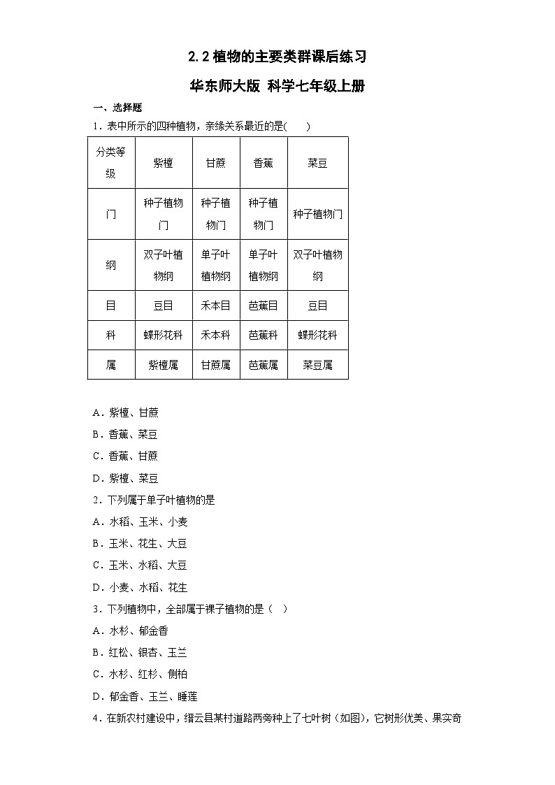2.2植物的主要类群课后练习  华东师大版 科学七年级上册第1页