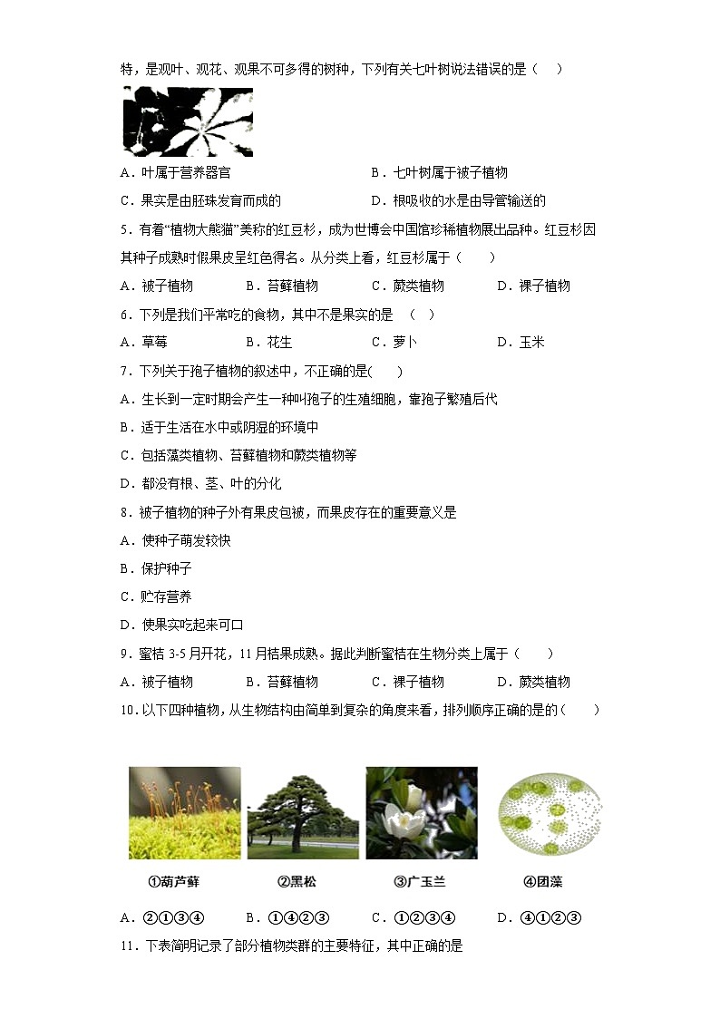 2.2植物的主要类群课后练习  华东师大版 科学七年级上册第2页