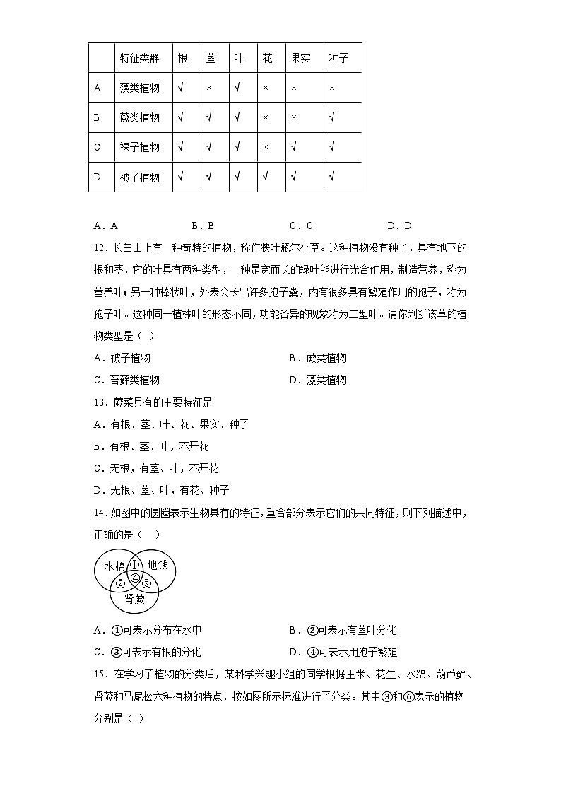 2.2植物的主要类群课后练习  华东师大版 科学七年级上册第3页