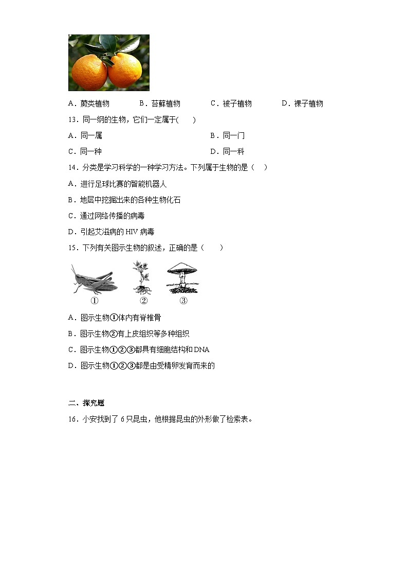 2.4 生物的分类 同步练习    华东师大版科学七年级上册第3页