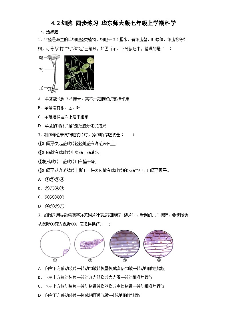 4.2 细胞 同步练习     华东师大版科学七年级上册第1页