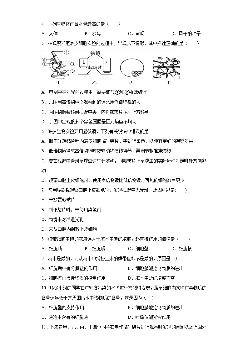 4.2 细胞 同步练习     华东师大版科学七年级上册第2页