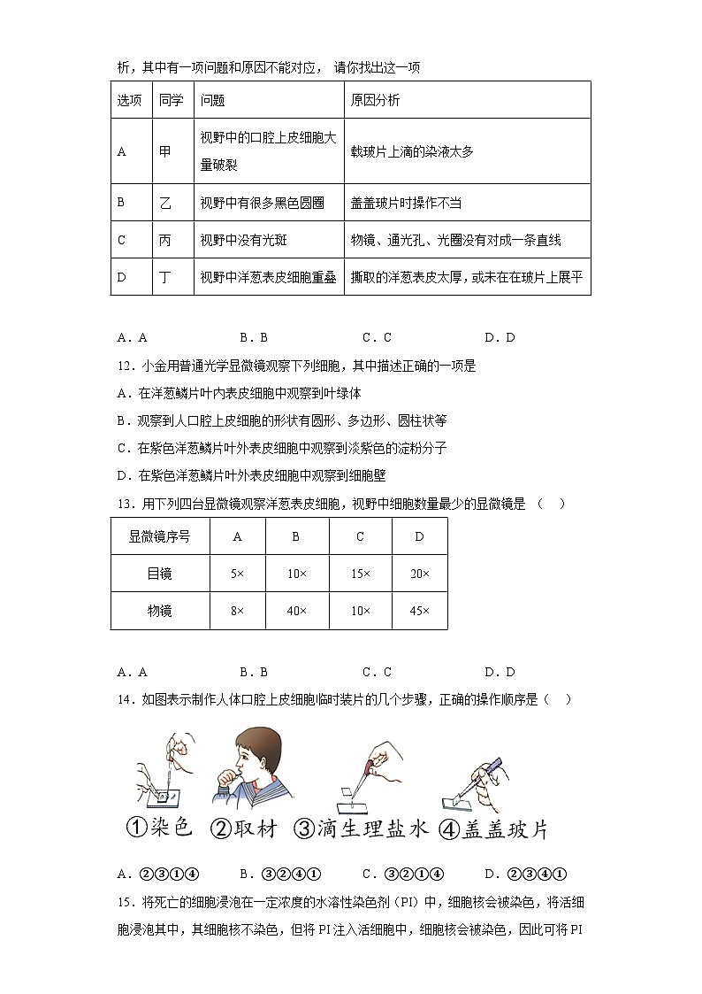 4.2 细胞 同步练习     华东师大版科学七年级上册第3页