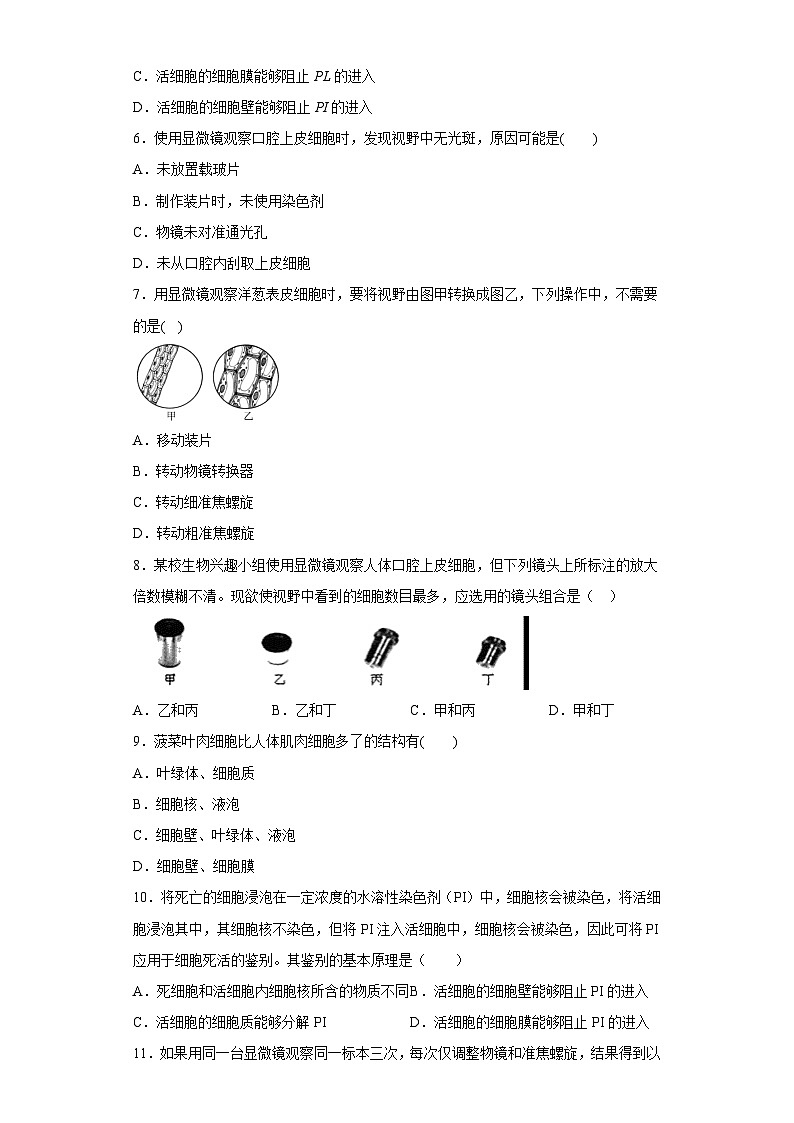 4.2 细胞 同步练习    华东师大版科学七年级上册第2页