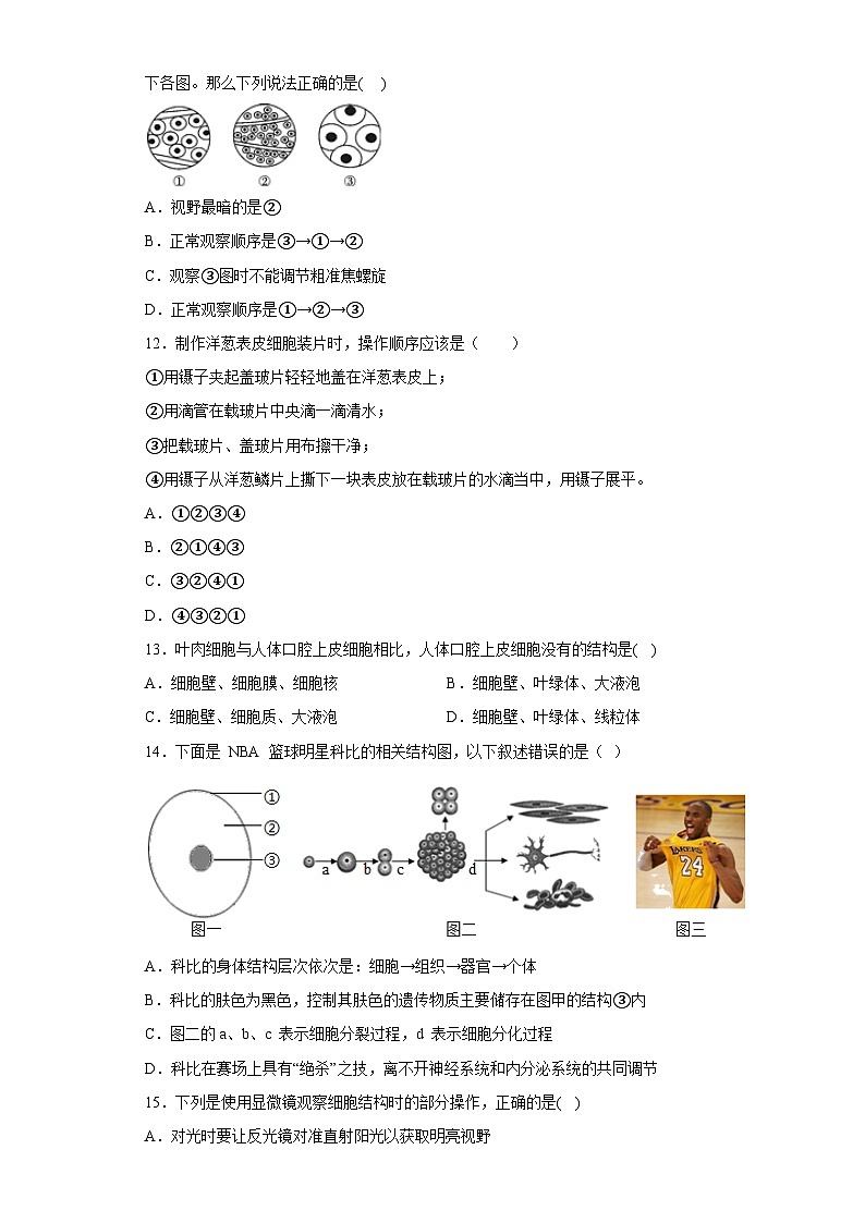 4.2 细胞 同步练习    华东师大版科学七年级上册第3页
