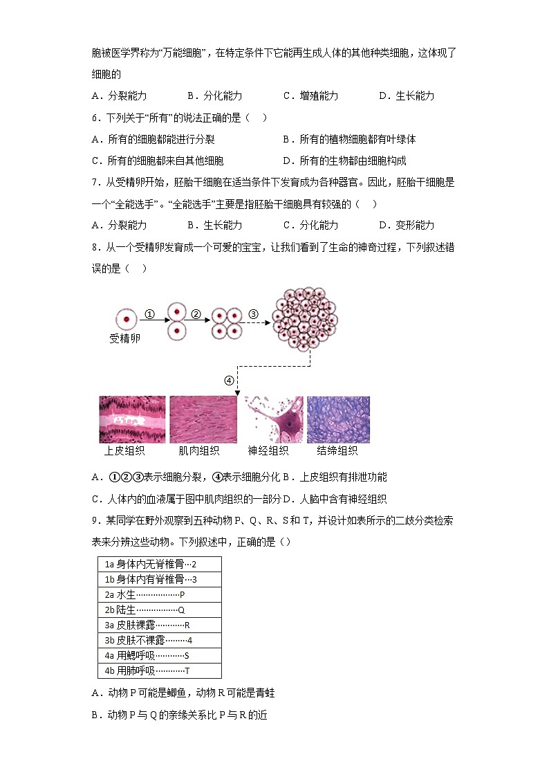 4.3 组织、器官和系统同步练习   华东师大版科学七年级上册第2页