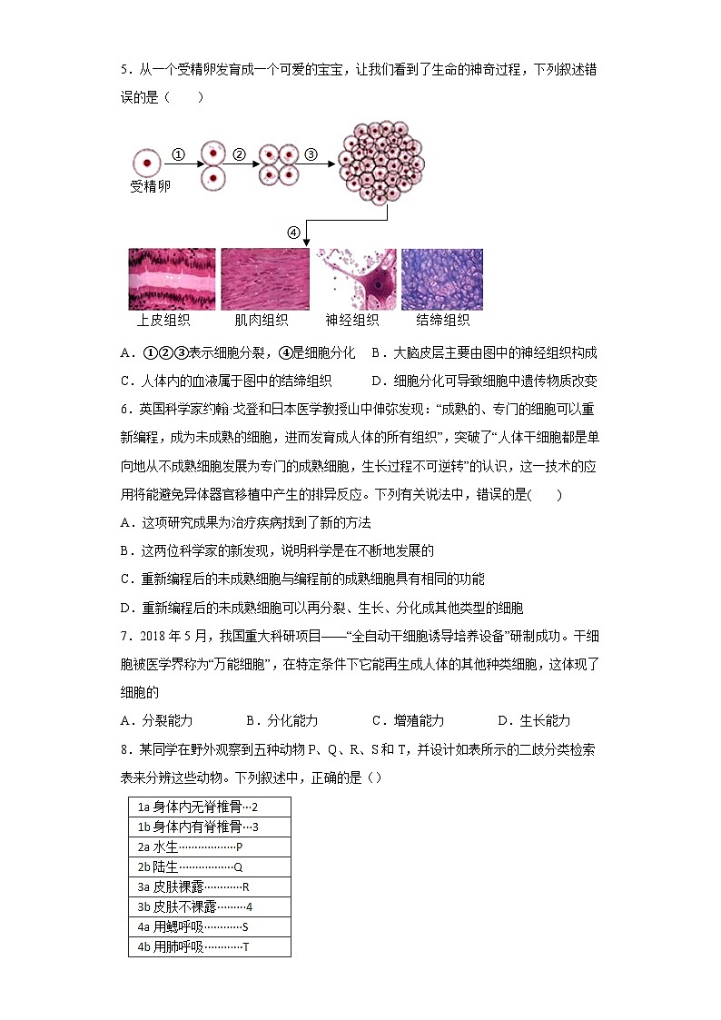 4.3 组织、器官和系统同步练习   华东师大版科学七年级上册02