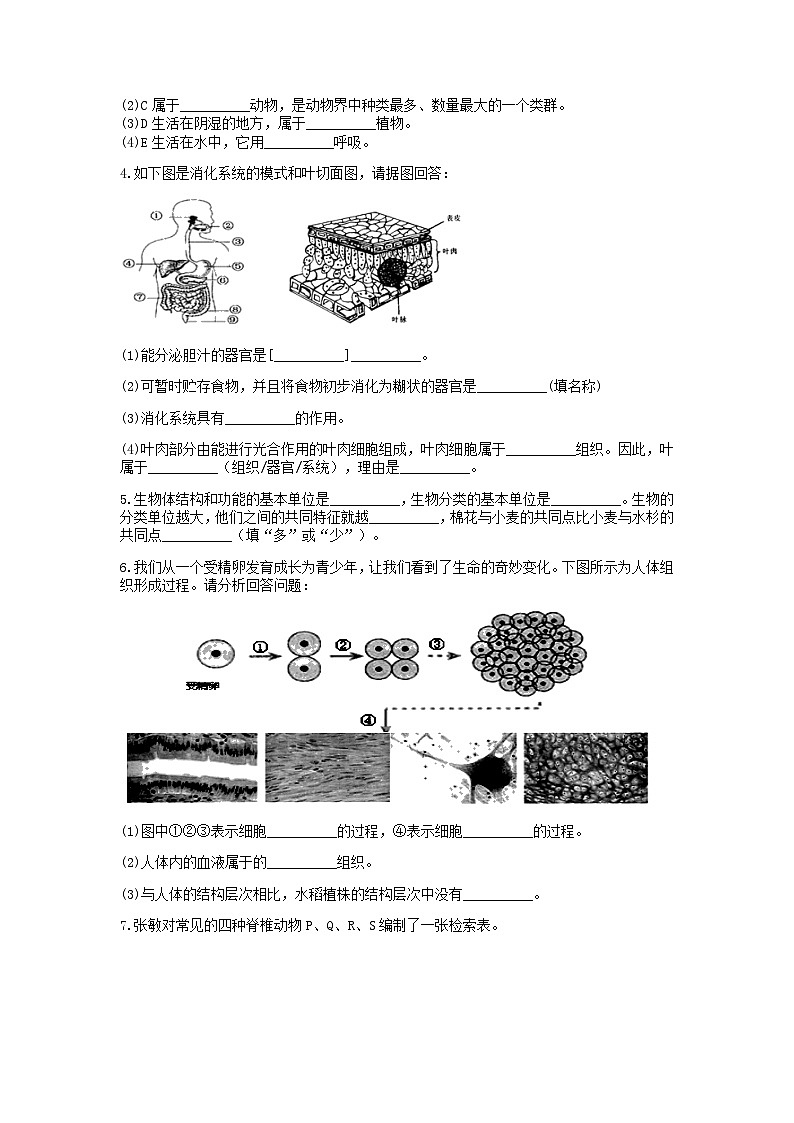 分类题型训练：第二章《观察生物》填空题（5）  浙教版科学七年级上册02