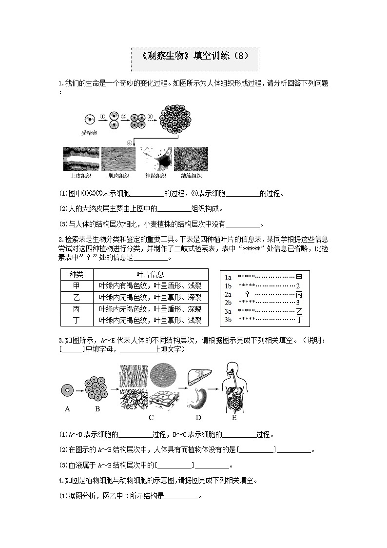 分类题型训练：第二章《观察生物》填空题（8）  浙教版科学七年级上册第1页