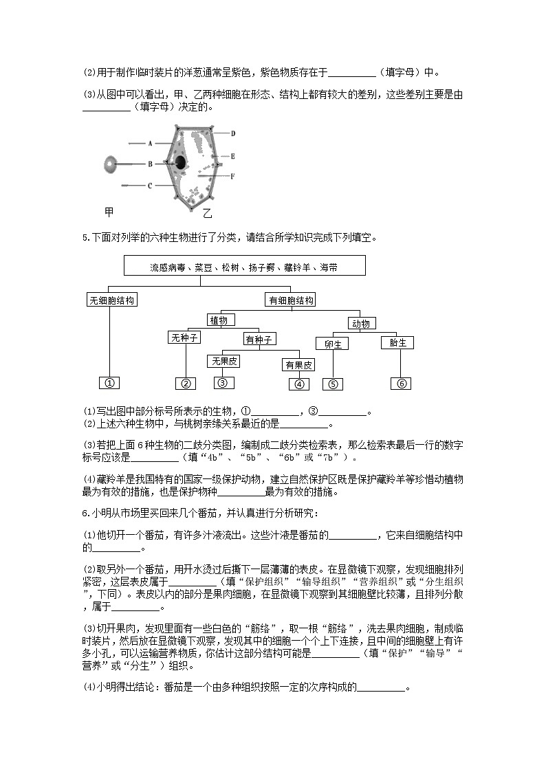 分类题型训练：第二章《观察生物》填空题（8）  浙教版科学七年级上册第2页