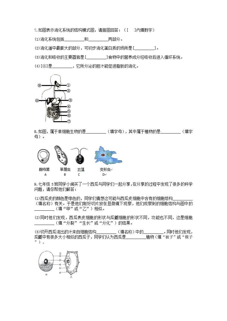 分类题型训练：第二章《观察生物》填空题（8）  浙教版科学七年级上册第3页