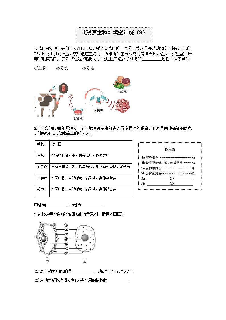 分类题型训练：第二章《观察生物》填空题（9）  浙教版科学七年级上册01