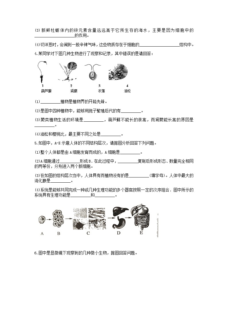 分类题型训练：第二章《观察生物》填空题（9）  浙教版科学七年级上册02
