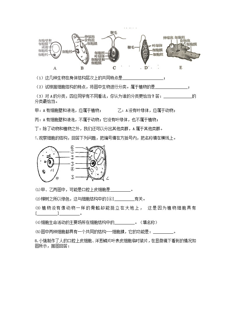 分类题型训练：第二章《观察生物》填空题（9）  浙教版科学七年级上册03