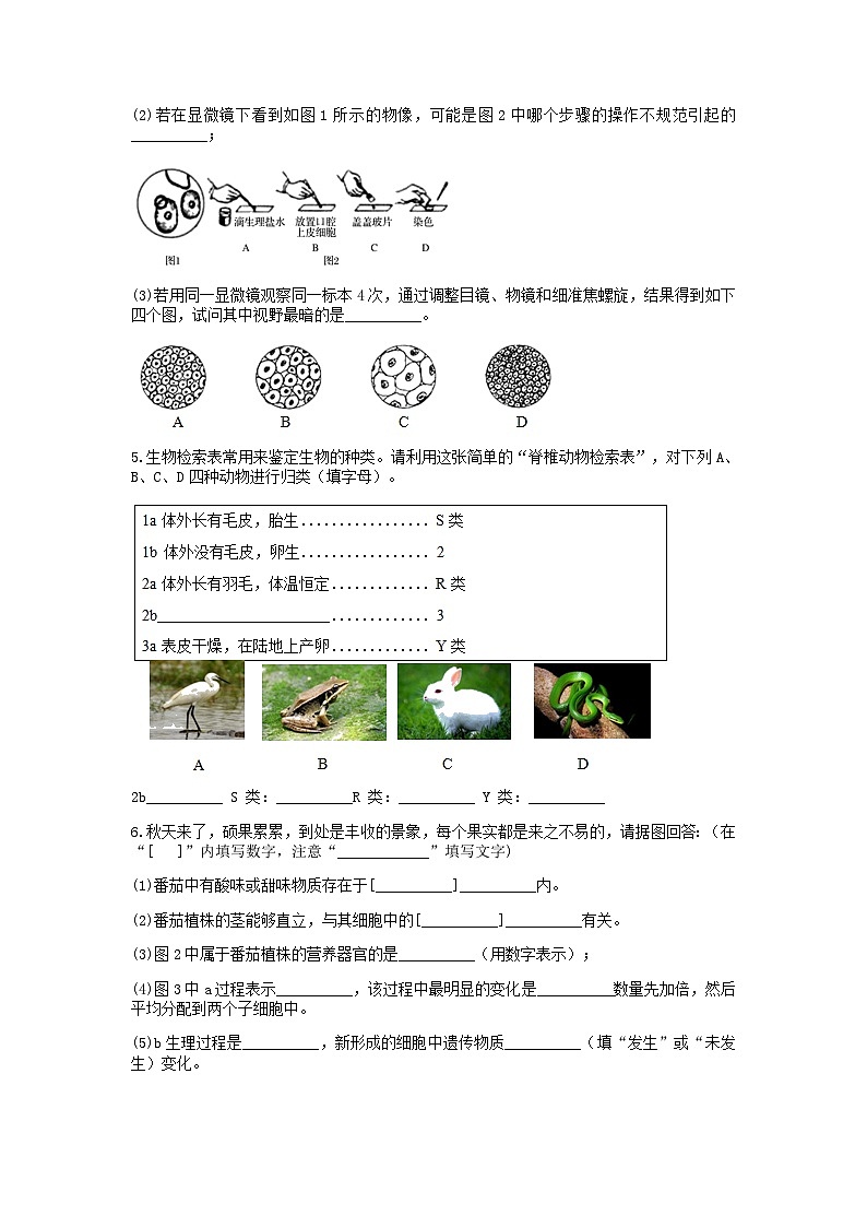 分类题型训练：第二章《观察生物》填空题（10）  浙教版科学七年级上册第2页