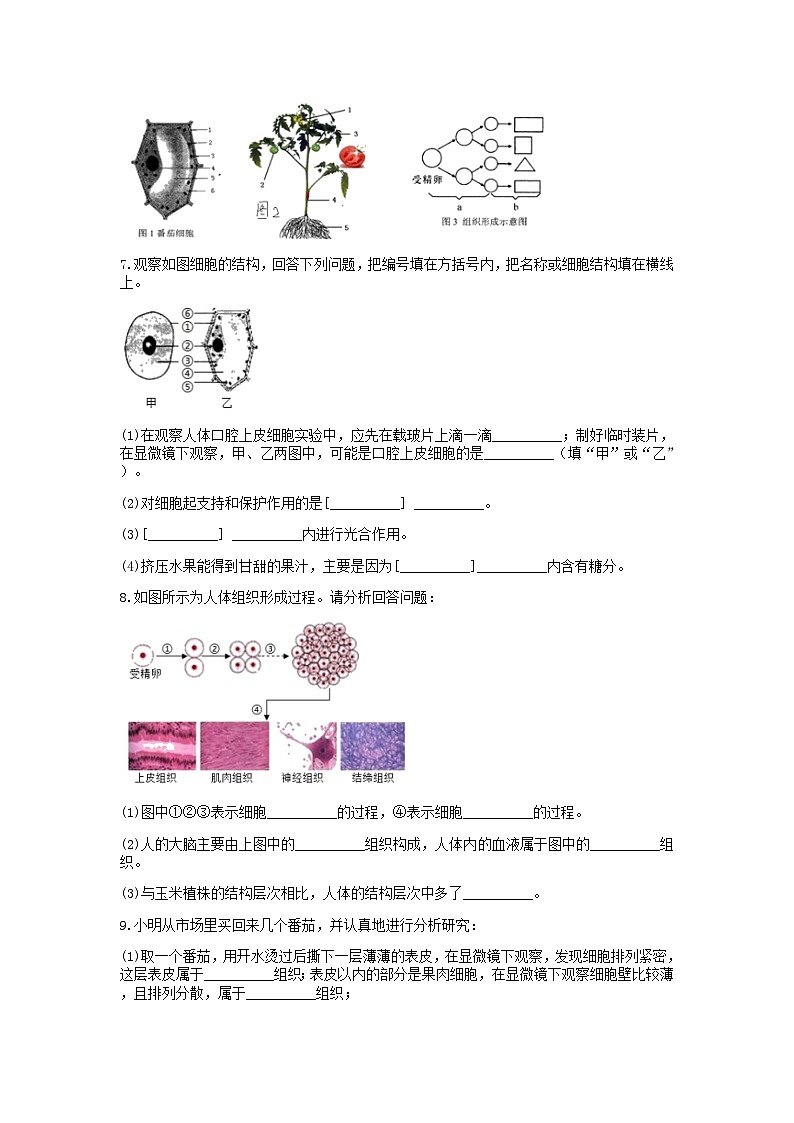 分类题型训练：第二章《观察生物》填空题（10）  浙教版科学七年级上册第3页