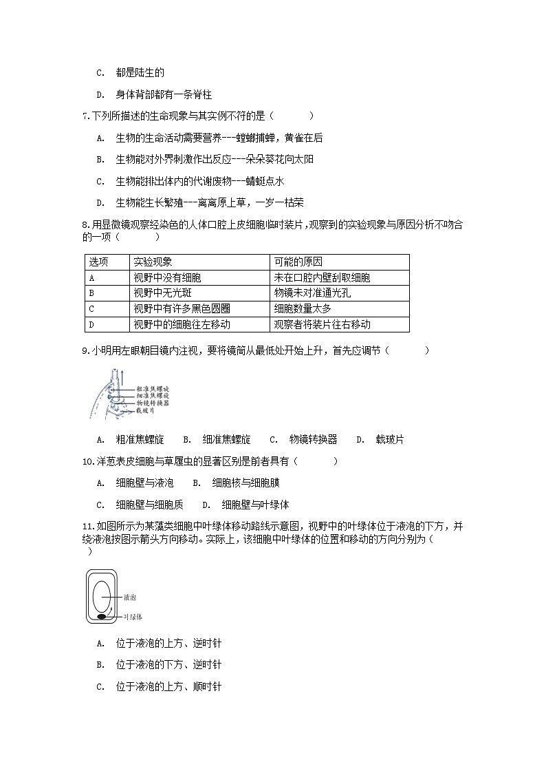 分类题型训练：第二章《观察生物》选择题（6）  浙教版科学七年级上册02