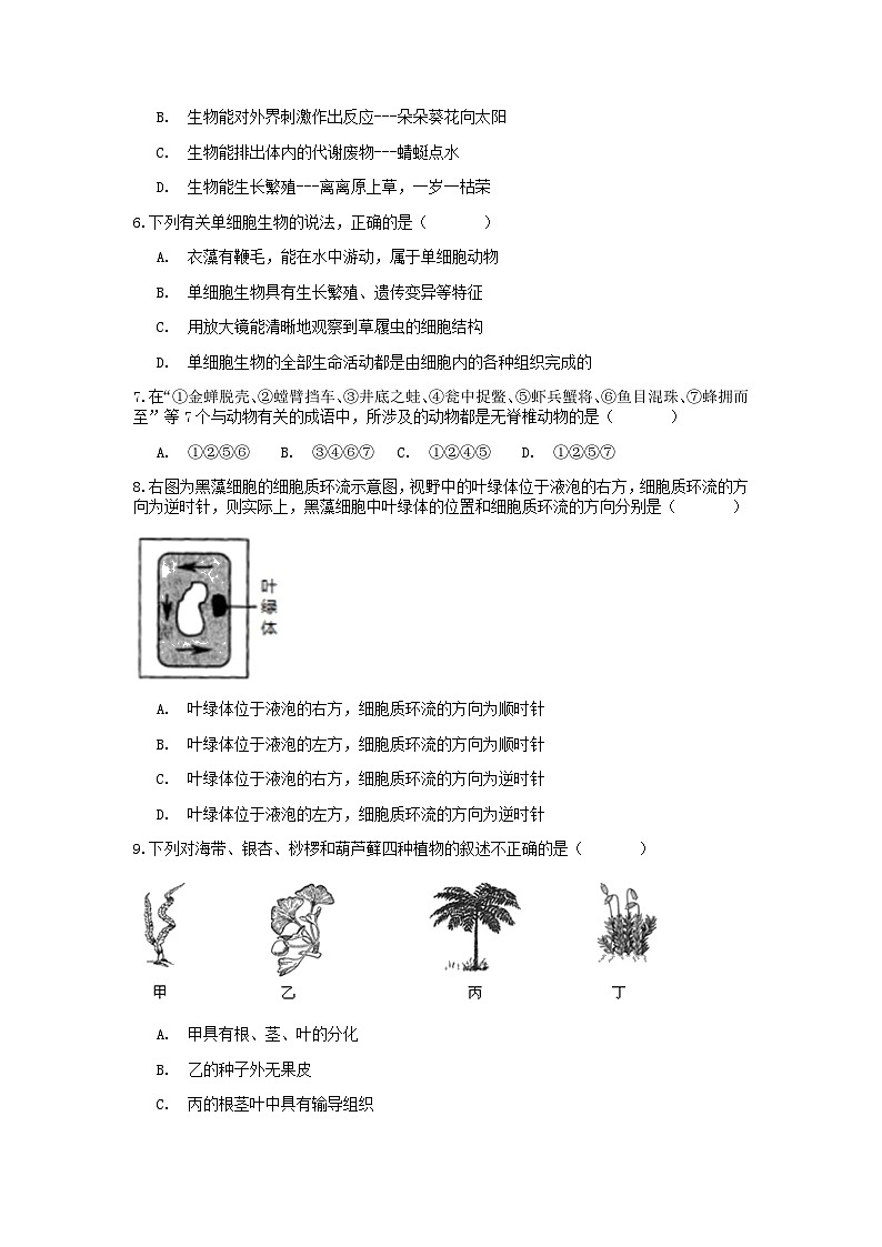 分类题型训练：第二章《观察生物》选择题（8）  浙教版科学七年级上册02