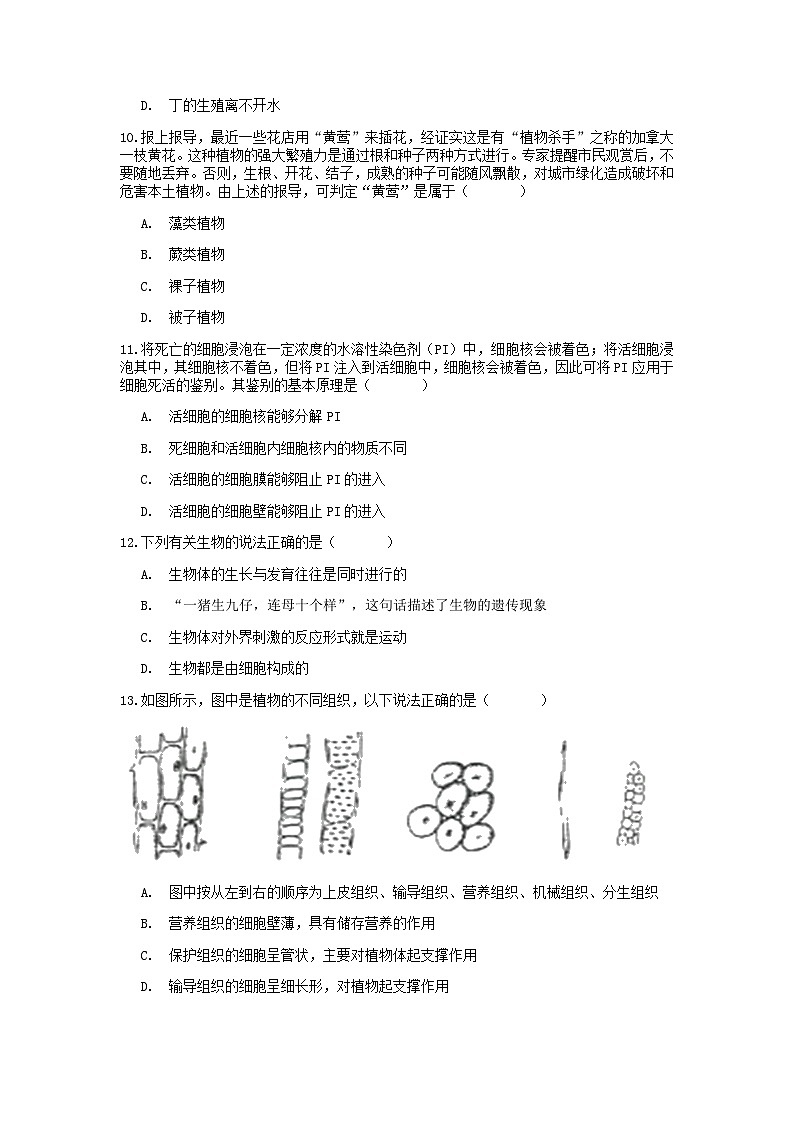 分类题型训练：第二章《观察生物》选择题（8）  浙教版科学七年级上册03