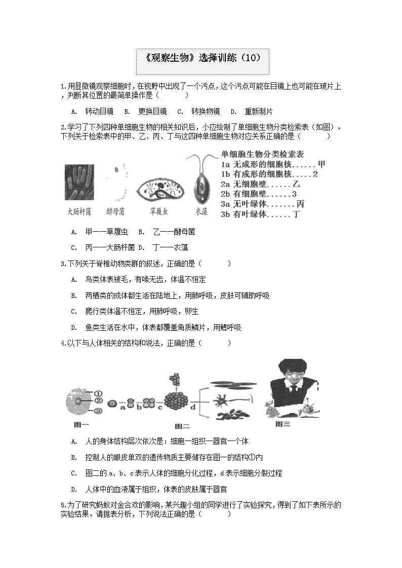 分类题型训练：第二章《观察生物》选择题（10）  浙教版科学七年级上册01