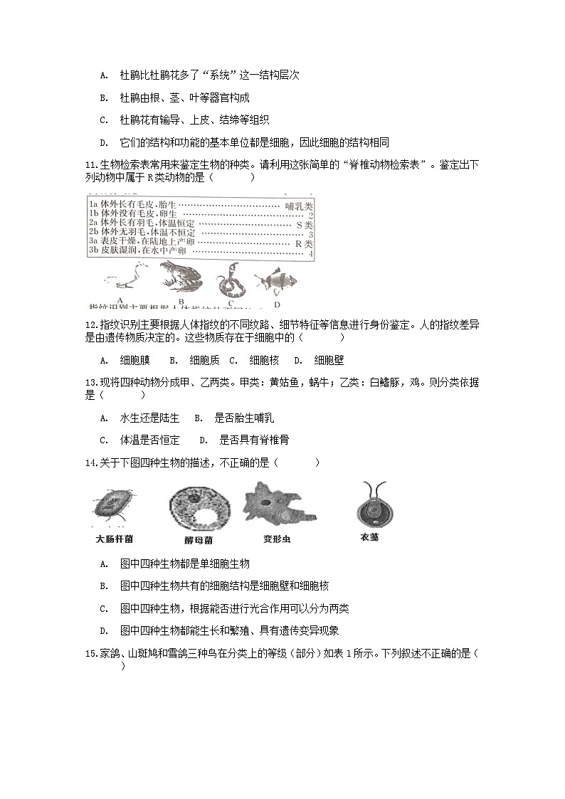 分类题型训练：第二章《观察生物》选择题（10）  浙教版科学七年级上册03