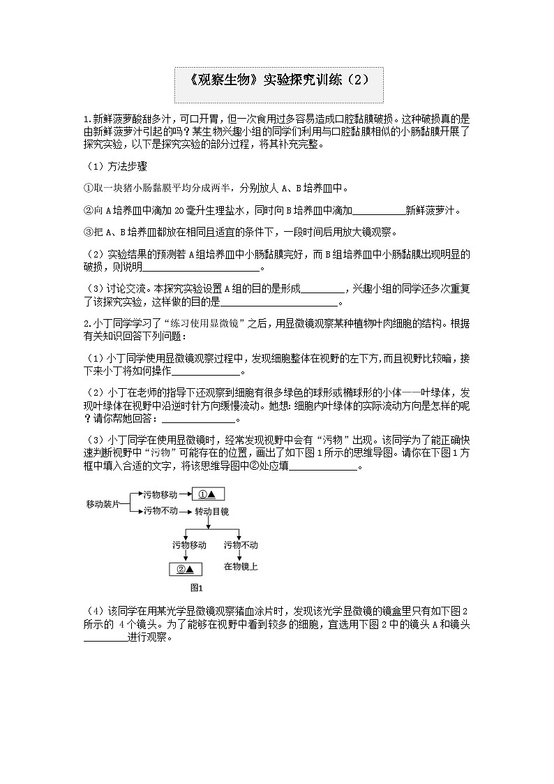 分类题型训练：第二章《观察生物》实验题（2）  浙教版科学七年级上册第1页