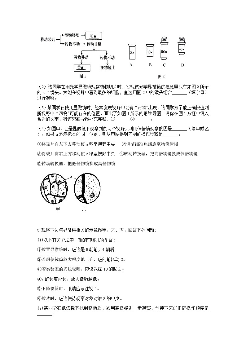 分类题型训练：第二章《观察生物》实验题（7）  浙教版科学七年级上册03