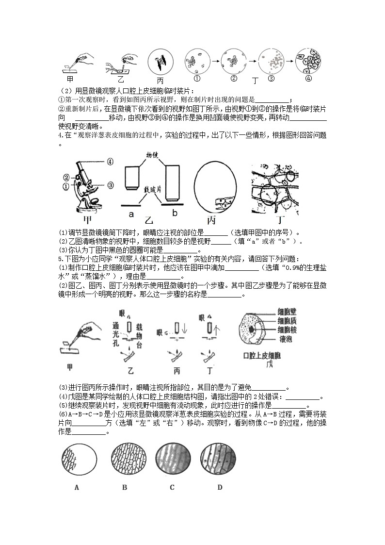 分类题型训练：第二章《观察生物》实验题（8）  浙教版科学七年级上册02