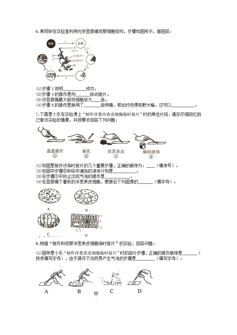 分类题型训练：第二章《观察生物》实验题（8）  浙教版科学七年级上册03