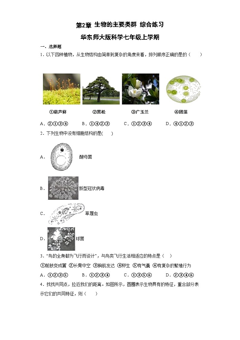 第2章 生物的主要类群 综合练习   华东师大版科学七年级上册01