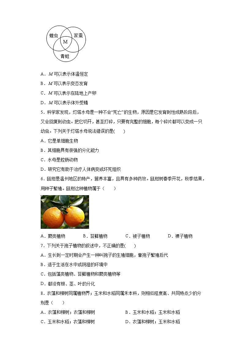 第2章 生物的主要类群 综合练习   华东师大版科学七年级上册02