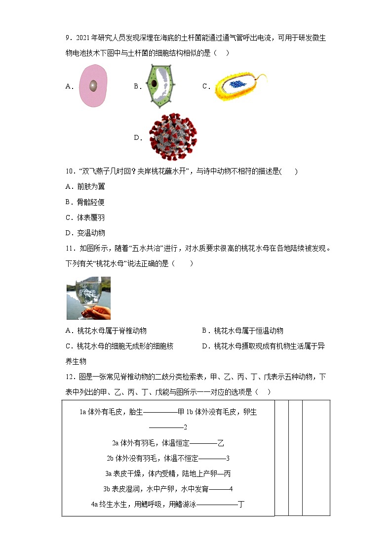 第2章 生物的主要类群 综合练习   华东师大版科学七年级上册03