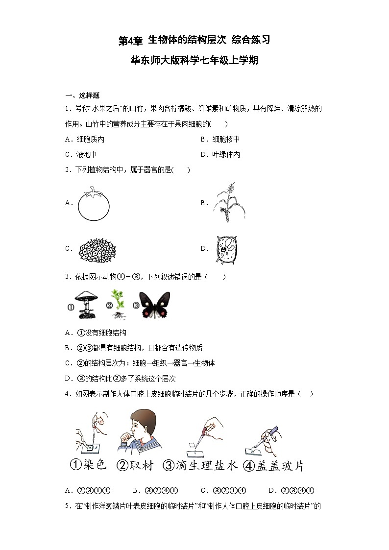 第4章 生物体的结构层次 综合练习  华东师大版科学七年级上册第1页