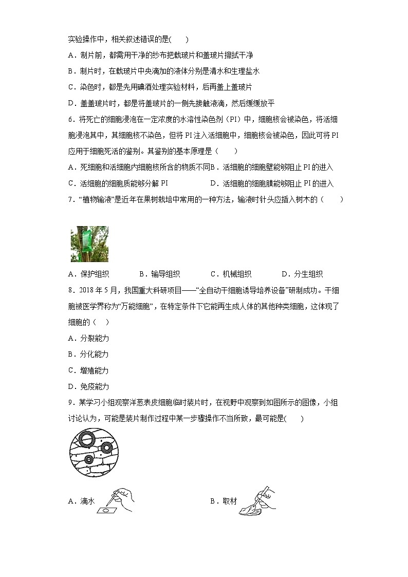 第4章 生物体的结构层次 综合练习  华东师大版科学七年级上册第2页