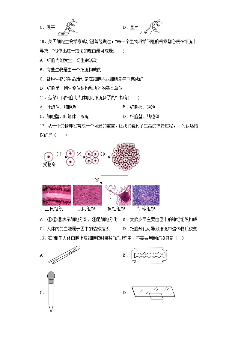 第4章 生物体的结构层次 综合练习  华东师大版科学七年级上册第3页