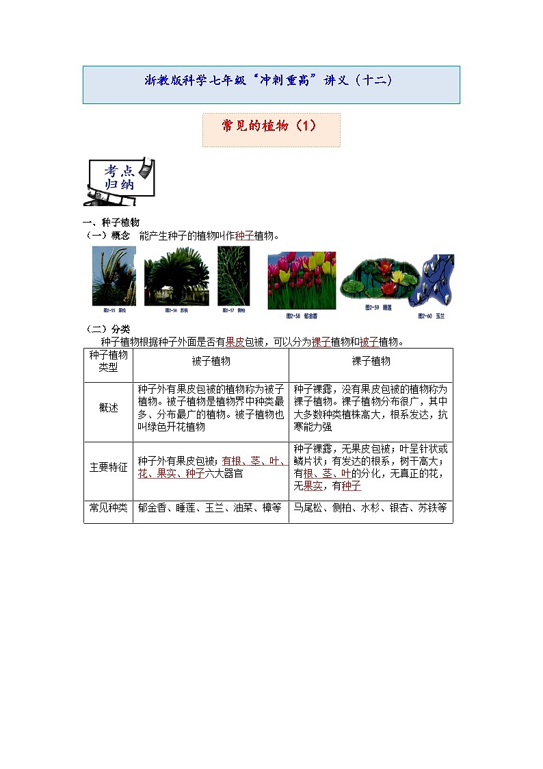 常见的植物（1）  浙教版科学上学期七年级“冲刺重高”讲义（十二）01