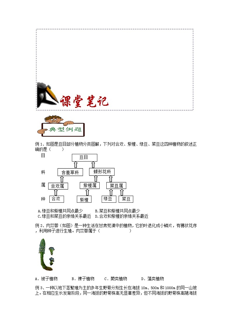 常见的植物（1）  浙教版科学上学期七年级“冲刺重高”讲义（十二）02
