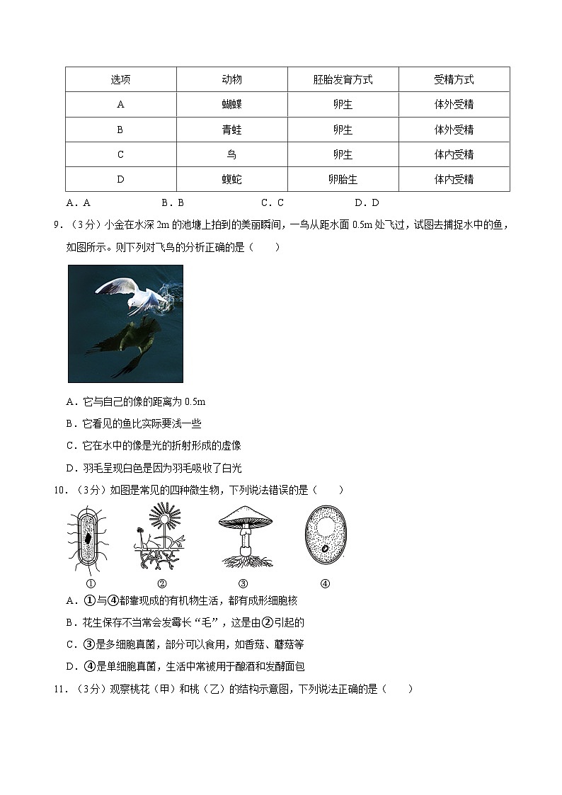 2023-2024学年浙江省杭州市上城区七年级（下）期末科学试卷03