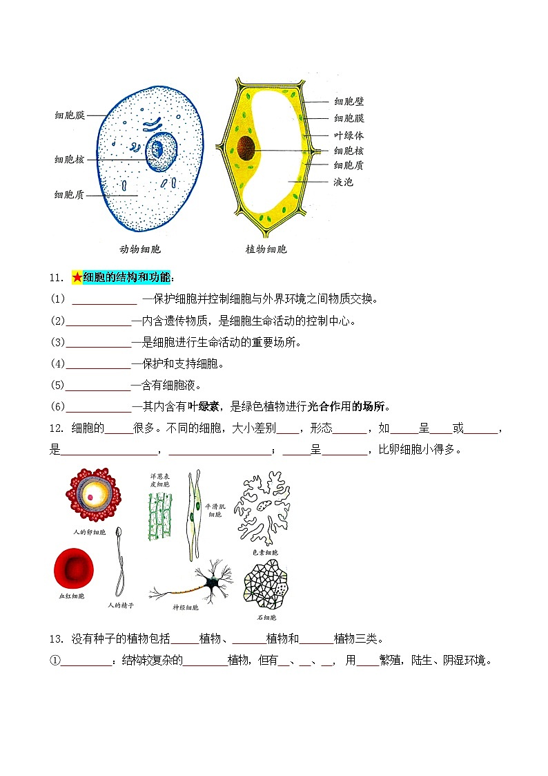科学浙教版（2024）初中科学第2章 丰富多彩的生命世界 知识要点练习（含答案）02
