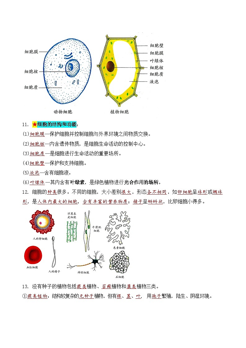科学浙教版（2024）初中科学第2章 丰富多彩的生命世界 知识要点练习（含答案）02