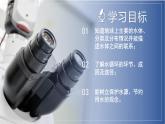 【浙教版】八上科学  1.1 地球上的水（课件+教案+导学案+同步练习）