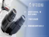 【浙教版】八上科学  1.3 水的浮力（第1课时）（课件+教案+导学案+同步练习）