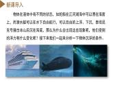 【浙教版】八上科学  1.3 水的浮力（第3课时）（课件+教案+导学案+同步练习）
