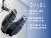 【浙教版】八上科学  2.4 风和降水（课件+教案+导学案+同步练习）