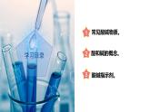 【浙教版】九上科学  1.2 物质的酸碱性（第1课时）（课件+教案+同步练习+导学案）